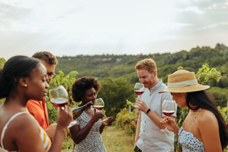 Bespoke Wine Experience (Custom Wine Tour)