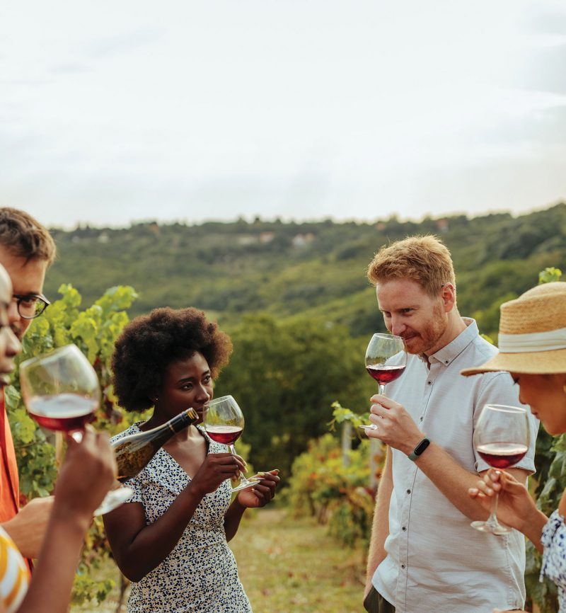 Bespoke Wine Experience (Custom Wine Tour)