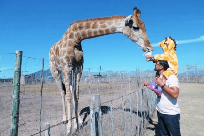 Kids Tour Experiences