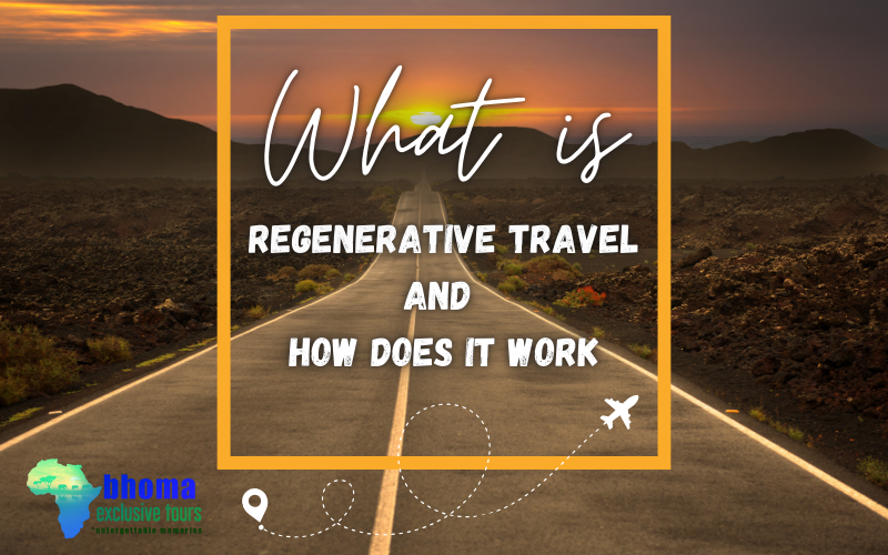 What is Regenerative Travel and How Does It Work