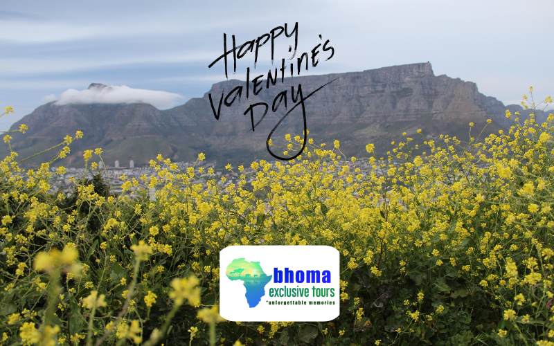 Valentine: Beyond the Diner reservation